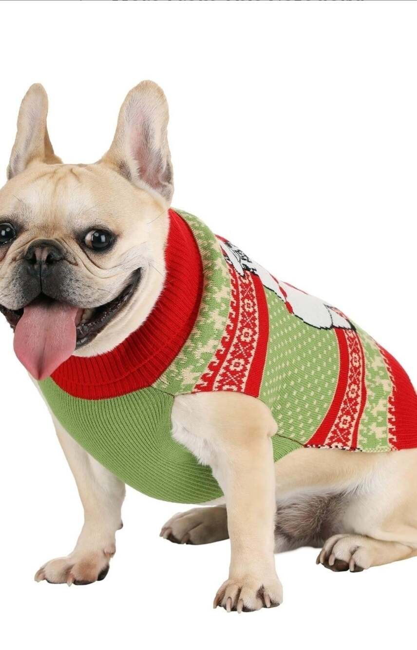 Llama Dog Holiday Christmas Pet Ugly Sweater Medium Xmas Noel Funny New NWT - Picture 4 of 4